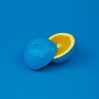 不求甚解 Avatar