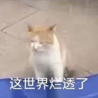 橘子综合资源分享中心 Avatar