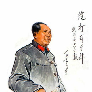 我的一张大字报 Avatar
