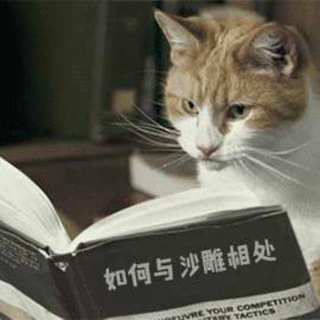 如何与沙雕相处 Avatar