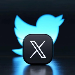 Twitter (𝕏) Media Downloader دانلود از توییتر (ایکس) Avatar